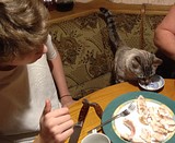 IMG 20160816 WA0003 [1]